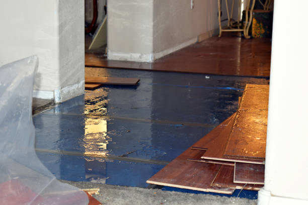 Professional Burst Pipe Cleanup technician working in Pattison, TX